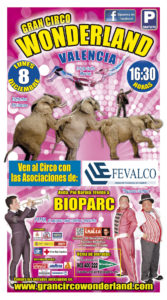 ESCAPARATE circo 2014