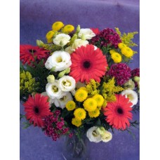 Oferta Floral de Lantana de Junio