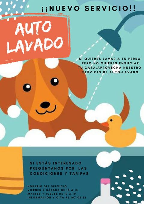 Nuevo Servicio en PETIT MASCOTAS